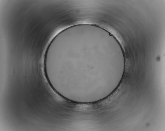 X0000103131187200809191934