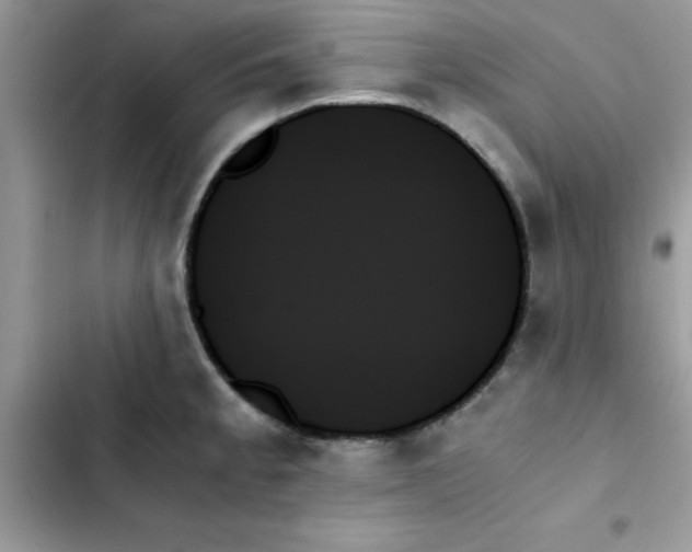 X0000103131189200809191934