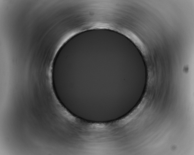 X0000103131190200809191934