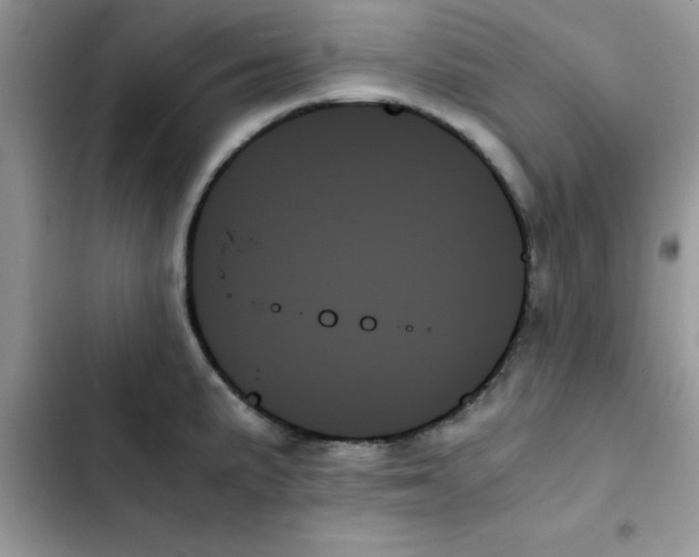 X0000103131191200809191934