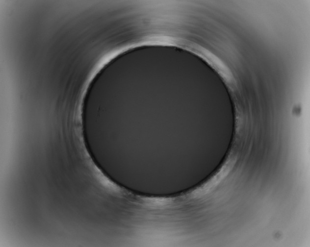 X0000103131192200809191934