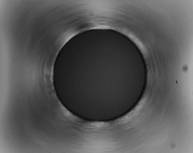 X0000103131193200809191934