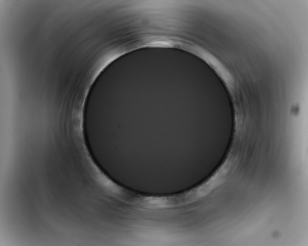 X0000103131194200809191934