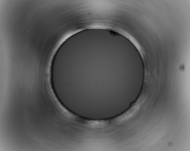 X0000103131195200809191934