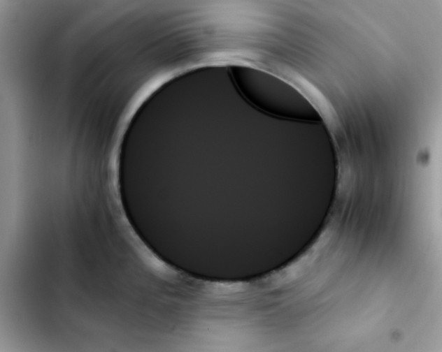 X0000103131196200809191934