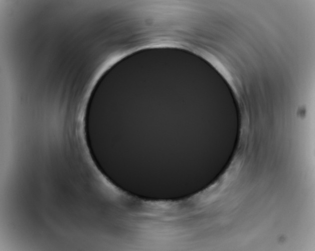 X0000103131197200809191934