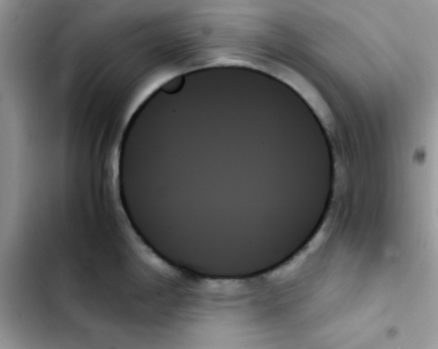 X0000103131198200809191934