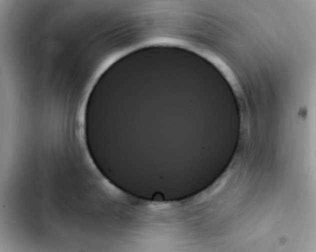X0000103131199200809191934