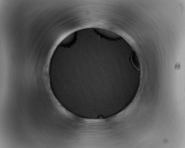 X0000103131200200809191934