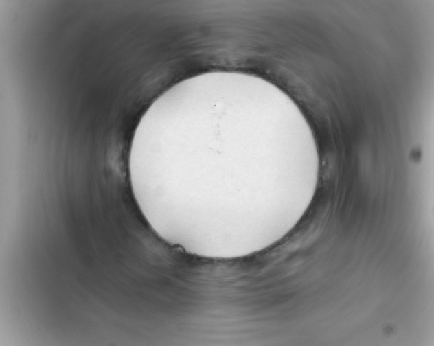 X0000103131202200809191933
