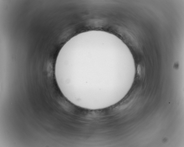 X0000103131203200809191933