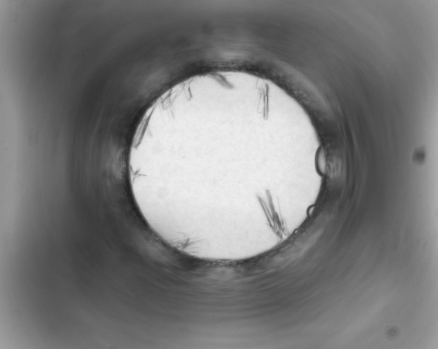 X0000103131204200809191933
