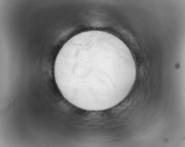 X0000103131205200809191933
