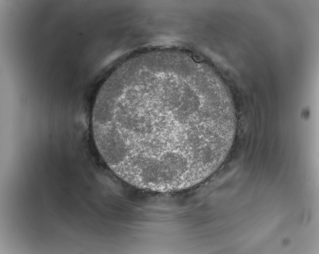 X0000103131206200809191933