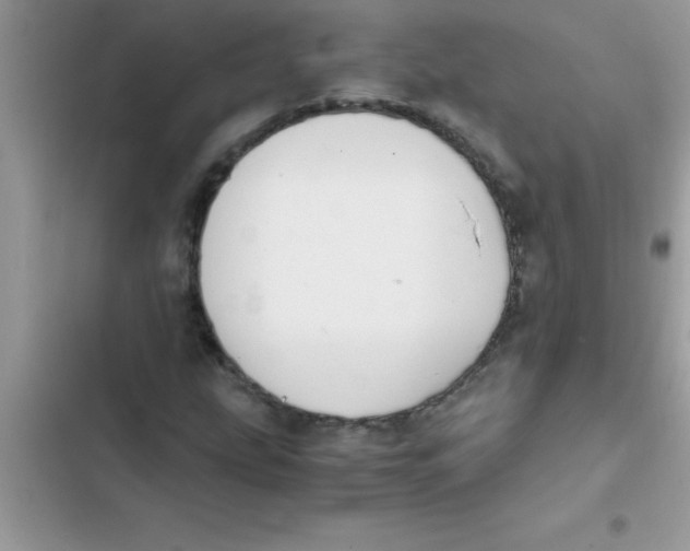 X0000103131207200809191933