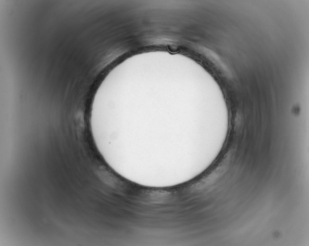 X0000103131209200809191933