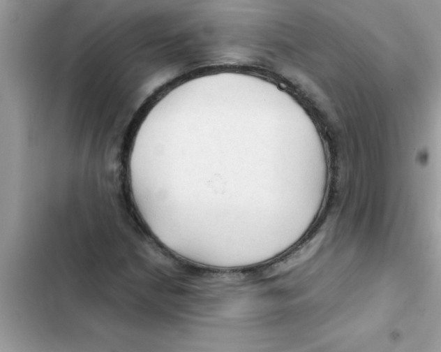 X0000103131210200809191933