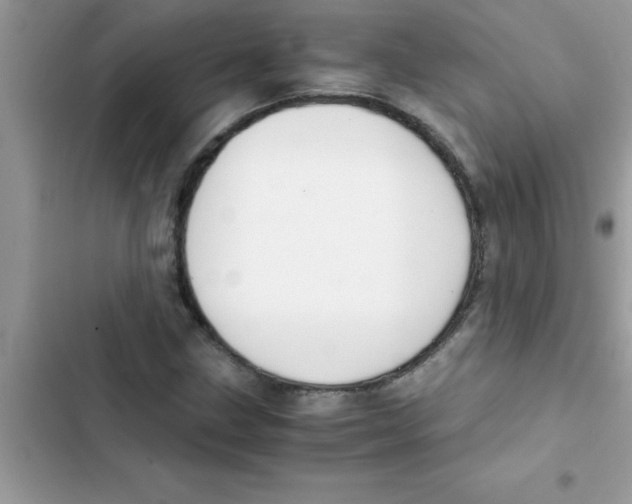 X0000103131211200809191933