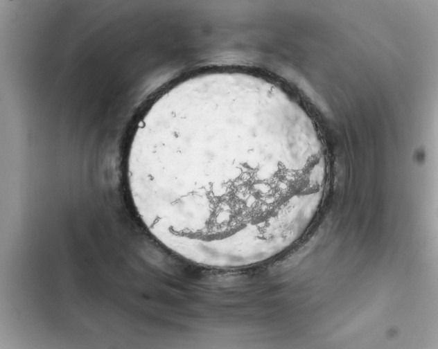 X0000103131213200809191933