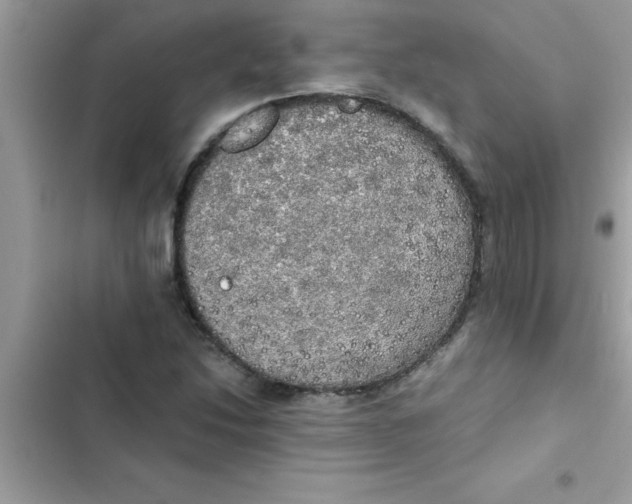 X0000103131214200809191933