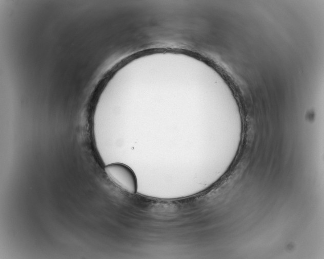 X0000103131215200809191933