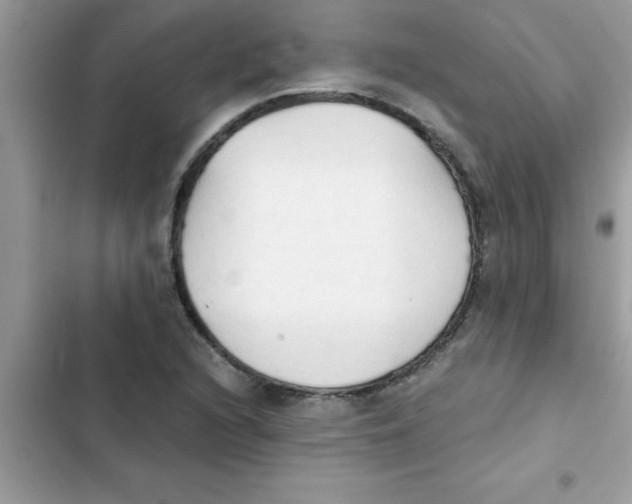 X0000103131216200809191933