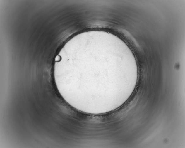 X0000103131217200809191933