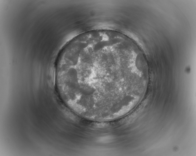 X0000103131219200809191933