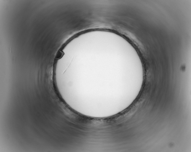 X0000103131220200809191933