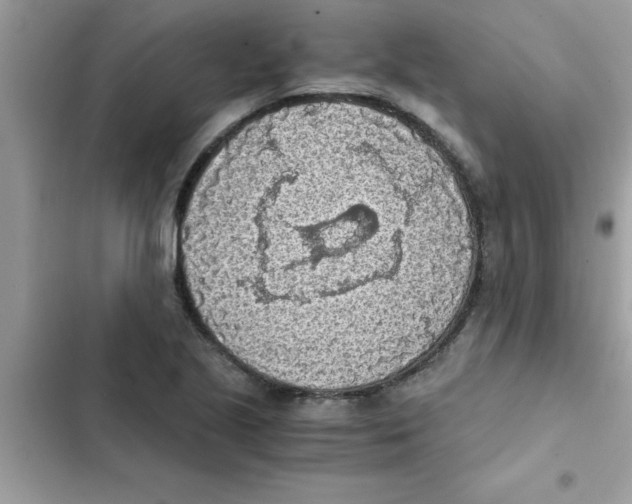 X0000103131221200809191933