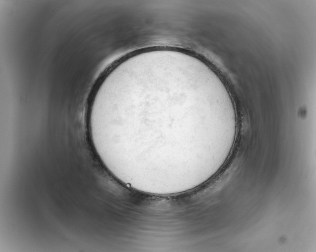 X0000103131222200809191933