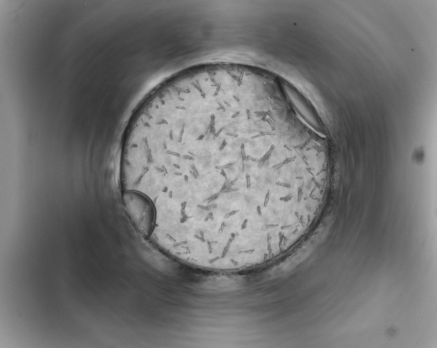 X0000103131224200809191933