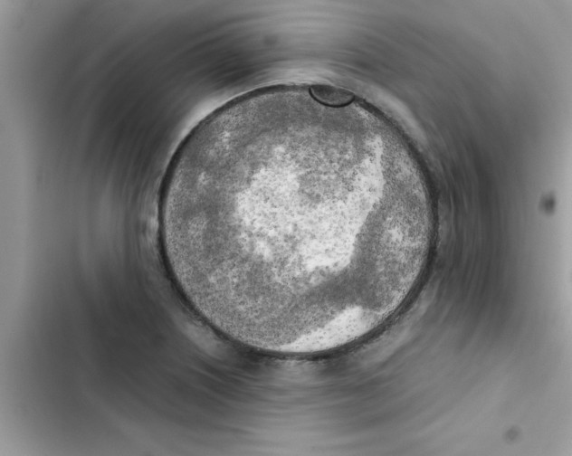 X0000103131226200809191933