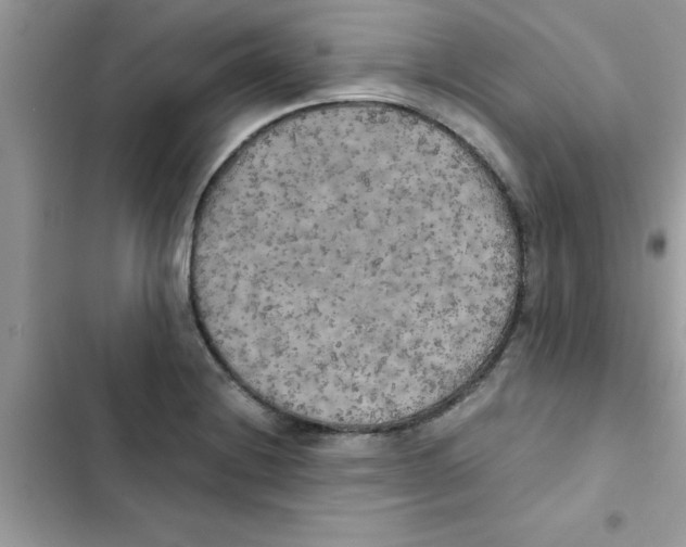 X0000103131228200809191933