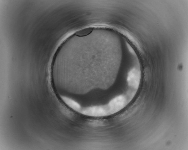 X0000103131229200809191933