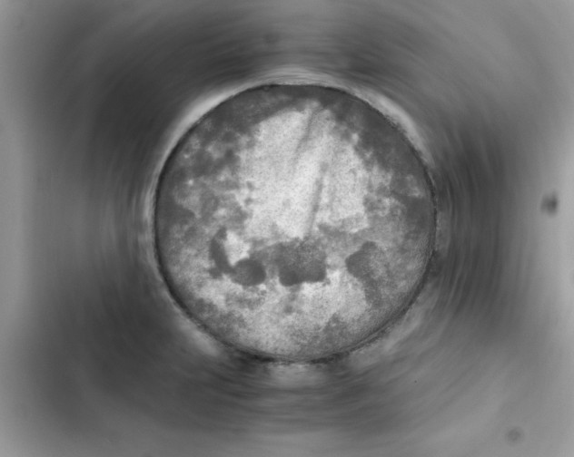 X0000103131231200809191933