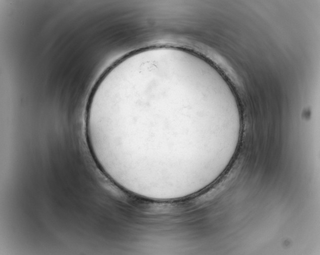 X0000103131232200809191933