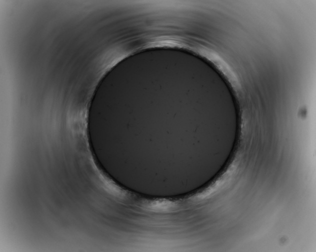 X0000103131233200809191933