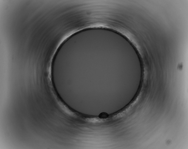 X0000103131234200809191933