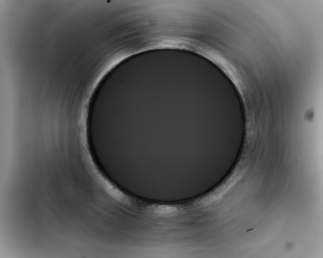 X0000103131235200809191933