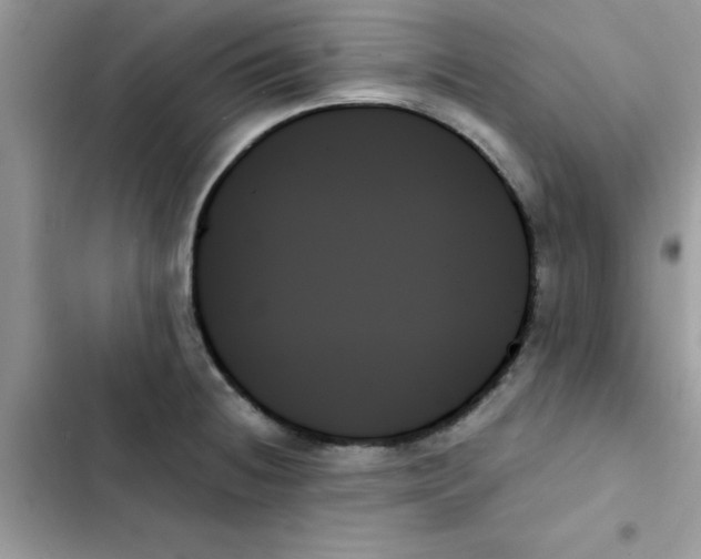 X0000103131236200809191933