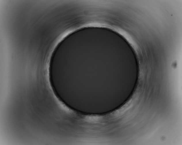 X0000103131237200809191933