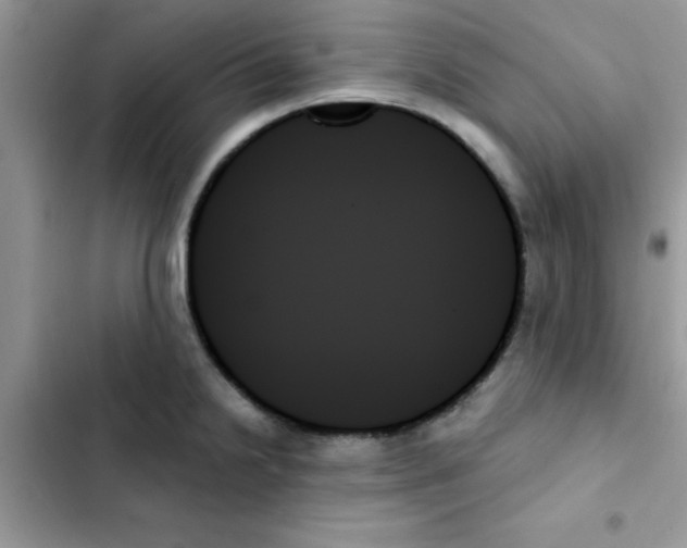 X0000103131238200809191933