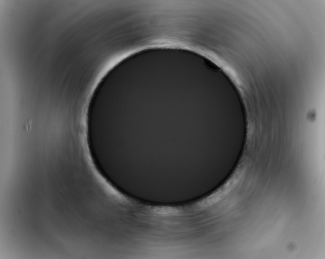 X0000103131239200809191933
