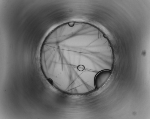 X0000103131240200809191933