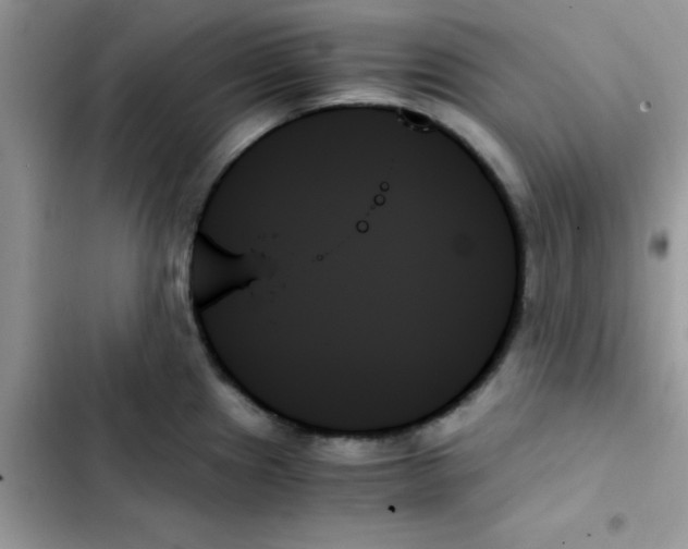 X0000103131241200809191933