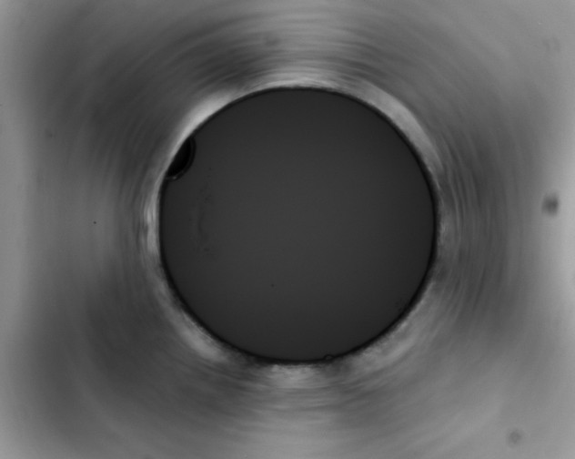 X0000103131242200809191933