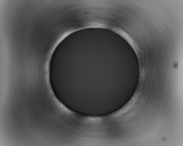 X0000103131243200809191933
