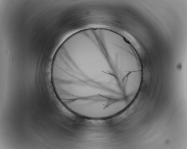 X0000103131244200809191933