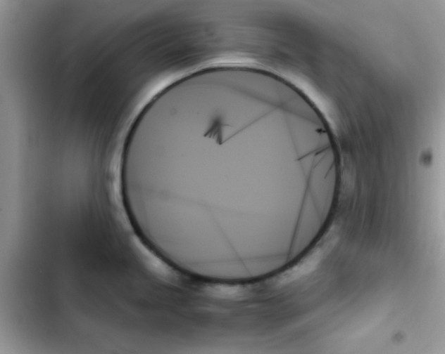 X0000103131245200809191933